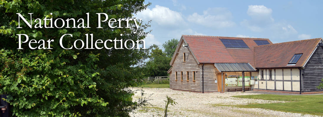 National Perry Paer Collection